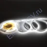 Светодиодная лента Standart Pro class, 2835, 120 led/m, 5mm, без скотча, white, 24V, IP20, SL3 - фото.