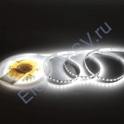 Светодиодная лента Standart Pro class, 2835, 120 led/m, 5mm, без скотча, white, 24V, IP20, SL3