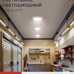 Светильник светодиодный СПБ-2-КРУГ 14Вт 230В 4000К 1100Лм 210мм белый IN HOME