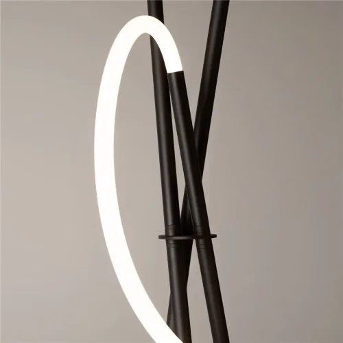 Напольный светильник (торшер) Crochet 3000К 36Вт (Черный) - фото 9