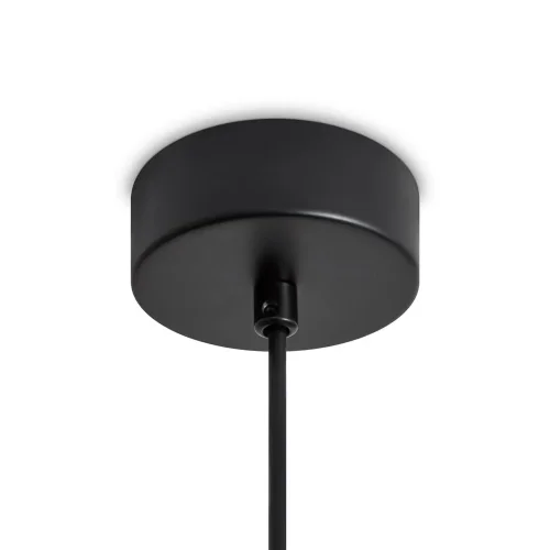 Подвесной светильник Freya FR5537PL-L6B (Черный) - фото 6