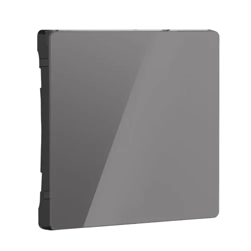 Клавиша для выключателя перекрестного (графит акрил) W1119044 - фото