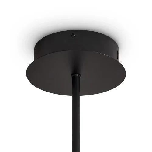 Подвесной светильник Freya FR5557PL-L22B (Черный) - фото 3