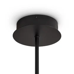 Подвесной светильник Freya FR5557PL-L22B (Черный)