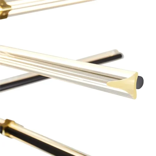 Подвесной светильник Freya FR5557PL-L22B (Черный) - фото 5