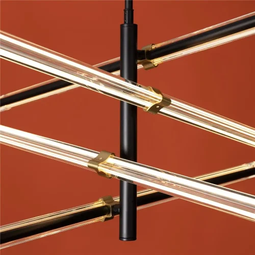 Подвесной светильник Freya FR5557PL-L22B (Черный) - фото 10