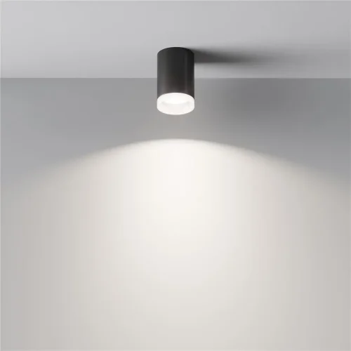 Потолочный светильник Pauline GU10 1x10Вт (Черный) - фото 4