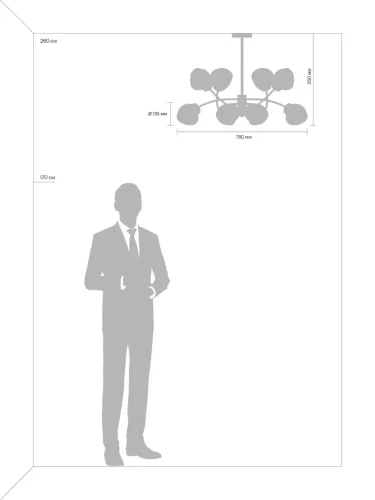 Люстра Freya FR8017PL-08MG (Матовое Золото) - фото 11