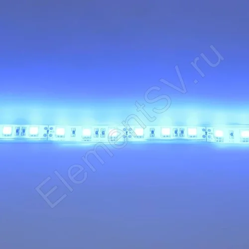 Светодиодная лента Standart PRO class, 5050, 60led/m, Blue, 12V, IP68 - фото 3.