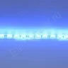 Светодиодная лента Standart PRO class, 5050, 60led/m, Blue, 12V, IP68 - фото 3.