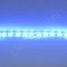 Светодиодная лента Standart PRO class, 5050, 60led/m, Blue, 12V, IP68 - фото 4.