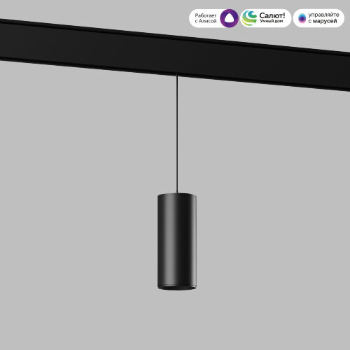 Умный трековый светильник 15W 2700-6500K Dim Amend чёрный Slim Magnetic - Фото 3