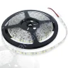 Светодиодная лента LUX class 2835 120led/m, cool white, 12V, IP65, N12 - фото.