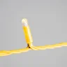 Гирлянда Нить 10м Тепло-Белая 220В, 100 LED, Провод Золотой Каучук 2,3мм, IP65. Фото 2.