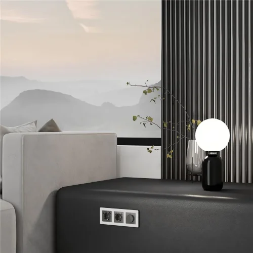 Накладка для розетки USB (графит акрил) W1179544 - фото 2