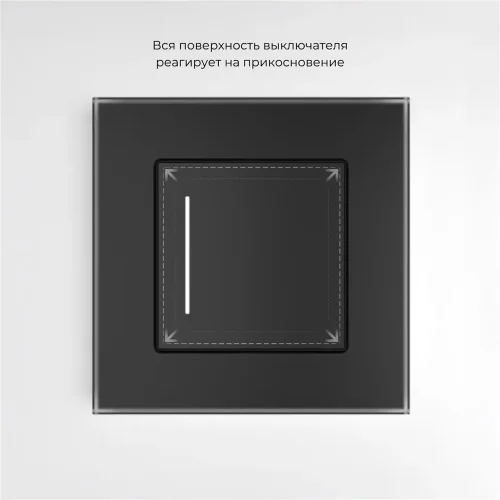 Сенсорный выключатель одноклавишный с подсветкой (черный) W4512008 - фото 4