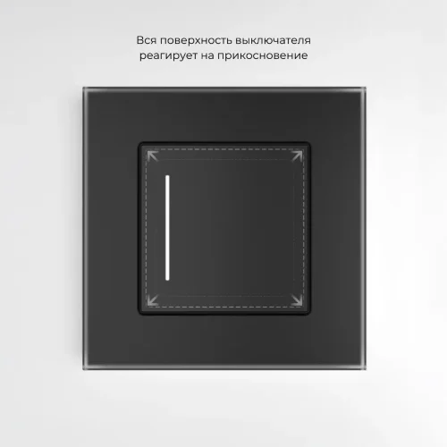 Сенсорный выключатель одноклавишный с подсветкой (черный) W4512008 - фото 4
