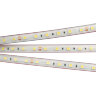Светодиодная лента герметичная RTW-PS-В60-13mm 24V Warm3000 (14.4 W/m, IP67, 5060, 5m) (Arlight, 14.4 Вт/м, IP67) 021464(2) - фото 2
