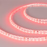 Светодиодная лента RT-A120-5mm 24V Red (9.6 W/m, IP20, 2835, 5m) (Arlight, 9.6 Вт/м, IP20) - фото 1