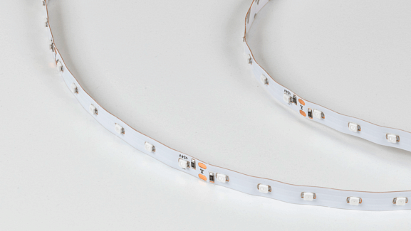 Светодиодная лента  3528, 60 LED/м, 4,8 Вт/м, 24В , IP20, Цвет: Желтый, SWG360-24-4.8-Y-M. Фото 2