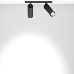 Накладной светильник Trunk Duo (RAL9005/D55 — GU10)