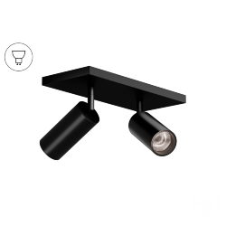 Накладной светильник Trunk Duo (RAL9005/D55 — GU10)