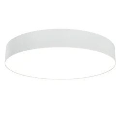 Потолочный светильник Zon 3000K 1x45Вт 120° (Белый) C032CL-L48W3K