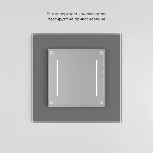 Сенсорный выключатель двухклавишный с подсветкой серебряный W4522006 - фото