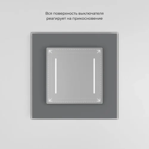 Сенсорный выключатель двухклавишный с подсветкой серебряный W4522006 - фото 2