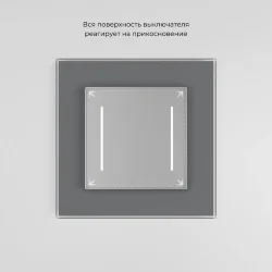 Сенсорный выключатель двухклавишный с подсветкой серебряный W4522006