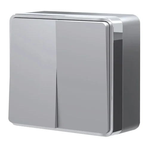 Выключатель двухклавишный Gallant серебряный W5020006 - фото