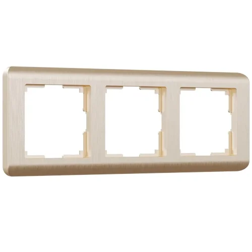 Рамка из поликарбоната на 3 поста Stream шампань W0032111 - фото