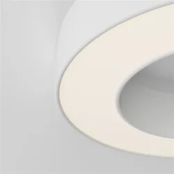 Потолочный светильники Lua 3000К 24Вт 120° (Белый)