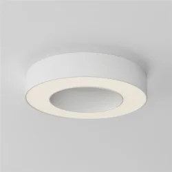 Потолочный светильники Lua 3000К 24Вт 120° (Белый)