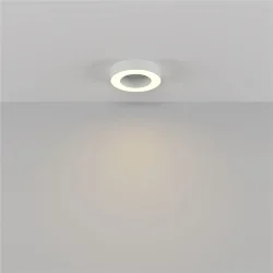 Потолочный светильники Lua 3000К 24Вт 120° (Белый)