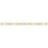 Светодиодная лента RT-B60-10mm 24V Warm2700 (14.4 W/m, IP20, 5m) (Arlight, 14.4 Вт/м, IP20) 008828(3) - фото 5
