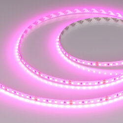 Светодиодная лента RT-А120-8mm 24V Magenta (9.6 W/m, IP20, 2835, 5m) (Arlight) 043381
