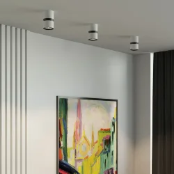 Светильник потолочный светодиодный 12W 4000К белый/чёрный 25049/LED (064731)