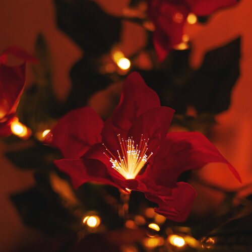 ULD-T2850-020-SNA-3AA WARM WHITE IP20 XMAS STAR Дерево светодиодное Рождественская звезда, на батарейках 3АА не в-к, 20х50см, 20 светодиодов, Теплый белый свет, TM Uniel - фото 4