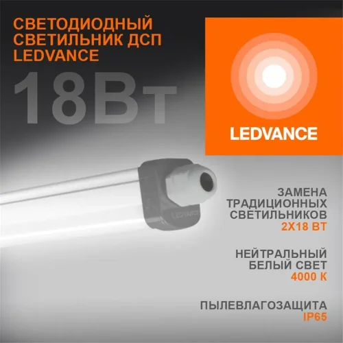 Светильник светодиодный ДСП-18Вт 4000K 1890лм IP65 0.6м ECO CLASS серый LEDVANCE 4058075622562 - фото