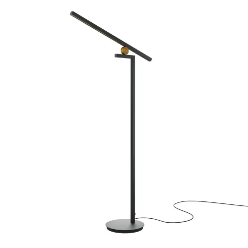 Напольный светильник (торшер) Empathy 3000К 26Вт (Черный) - фото