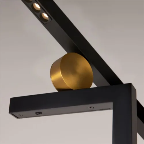 Напольный светильник (торшер) Empathy 3000К 26Вт (Черный) - фото 5