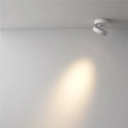 Потолочный светильник Magic 3000K 12Вт 36° (Белый)