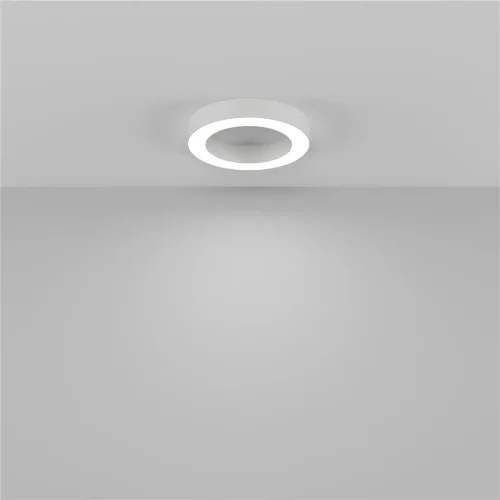 Потолочный светильники Lua 4000К 36Вт 120° (Белый) - фото 5