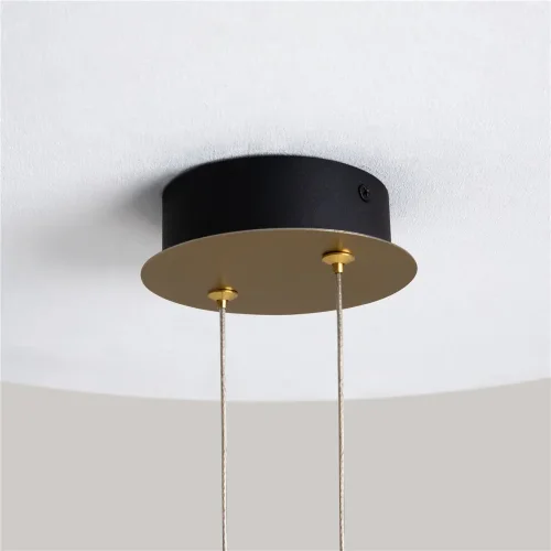 Подвесной светильник Pharao 3000К 7Вт (Черный и Латунь) - фото 6