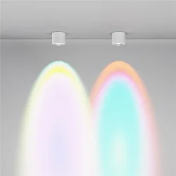 Потолочный светильник Lens 15Вт 4000К 70° (Белый)