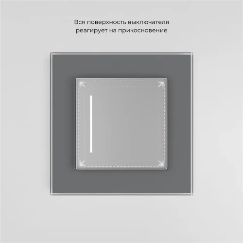 Сенсорный выключатель одноклавишный с подсветкой серебряный W4512006 - фото