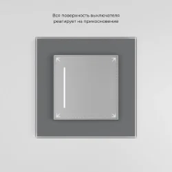 Сенсорный выключатель одноклавишный с подсветкой серебряный W4512006