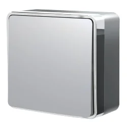 Выключатель одноклавишный проходной Gallant серебряный W5012006