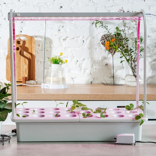 ULI-P16-10W-SPLE IP20 WHITE Светильник для растений светодиодный линейный, 570мм, выкл, на корпусе, Пластик, Спектр для фотосинтеза, TM Uniel - фото 8